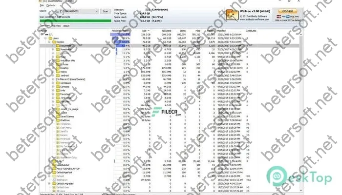 WizTree Activation key 4.17 Free Download